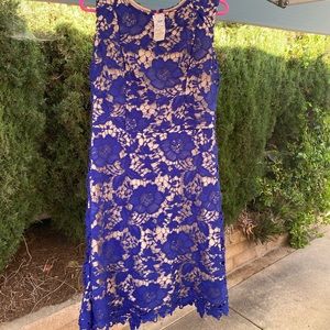 NWT blue floral lace dress